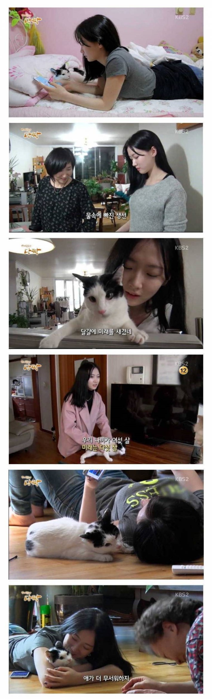 뇌성마비 고양이를 보살피는 마음착한 집사 | 인스티즈
