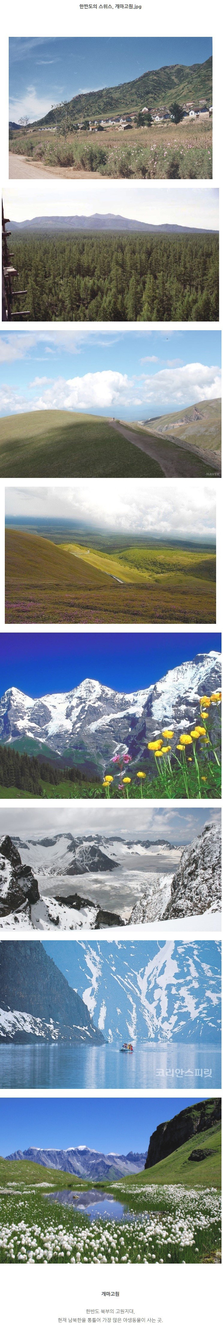 한반도의 스위스 | 인스티즈