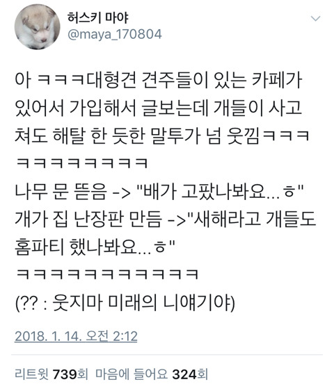 우리나라에서 보살이 가장 많은 카페.twt | 인스티즈