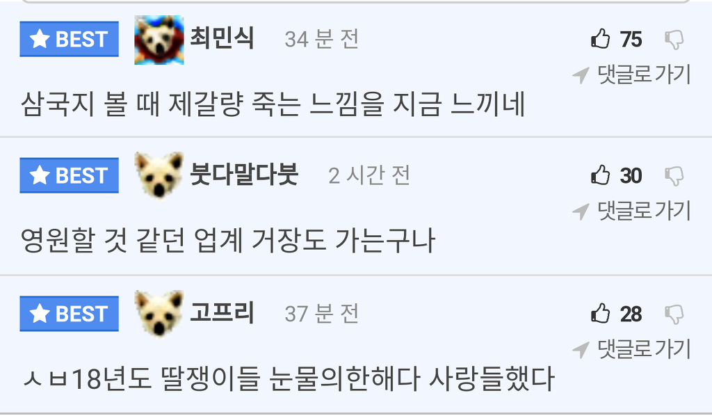  요시자와 아키호 은퇴 | 인스티즈
