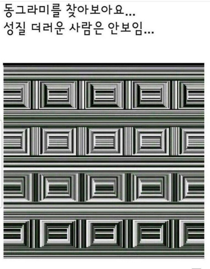 동그라미를 찾아보아요 | 인스티즈