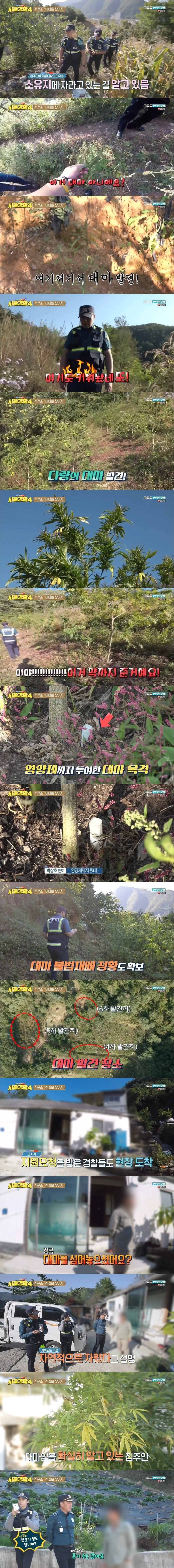 엄청난 규모의 대마 불법재배 현장을 수색하는 시골경찰 | 인스티즈