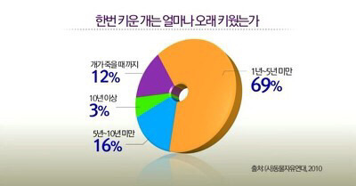 한번 키운 개는 얼마나 오래 키웠는가?.JPG | 인스티즈