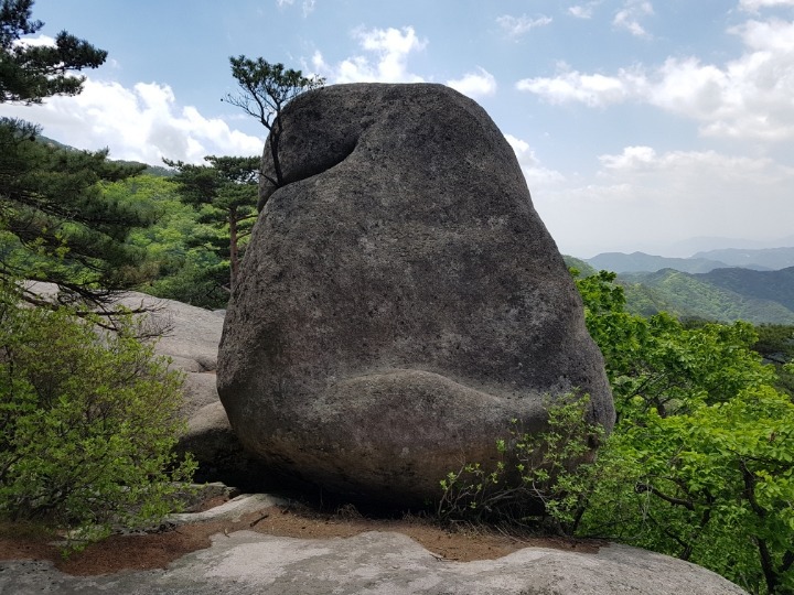 속리산동행 이미지