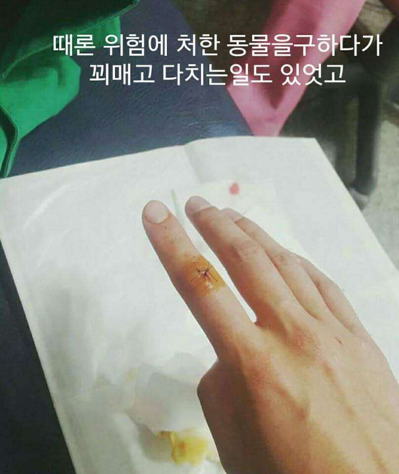 웃대에 올라온 엔터스의 실체!! | 인스티즈