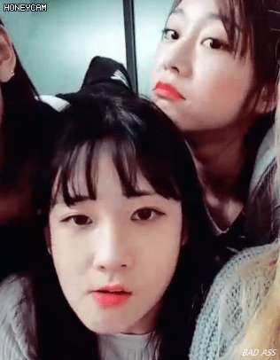 멤버들한테 너무나 사랑(?)받는 러블리즈 지애.gif | 인스티즈