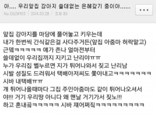 은혜갚는 강아지.jpg | 인스티즈