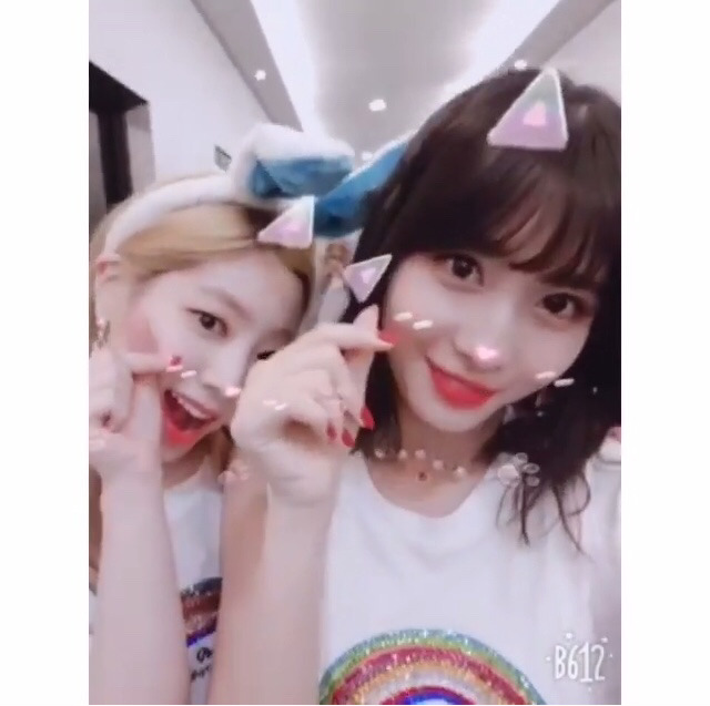 6/17 트와이스 두부한모.jpg | 인스티즈