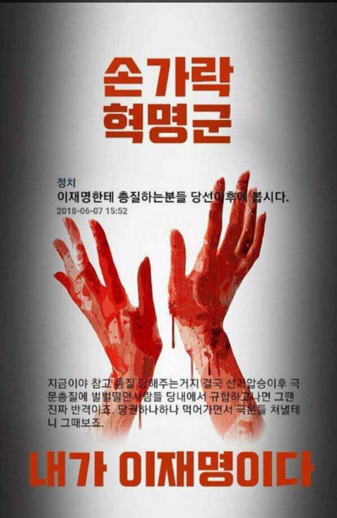 헐 이거보시긔. 손가혁들이 선거끝나고 복수한대긔 ㄷ ㄷ ㄷ | 인스티즈