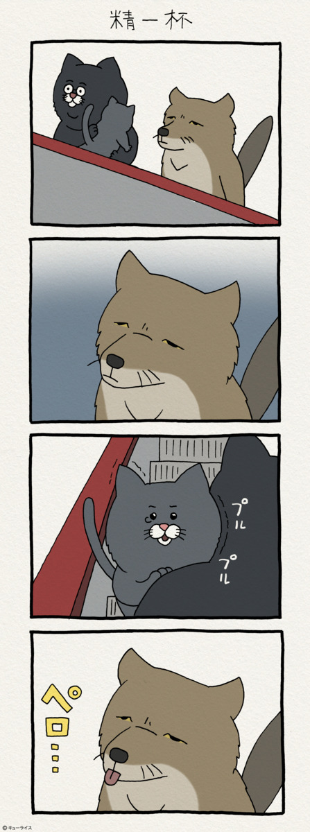 친절한 티벳여우 | 인스티즈