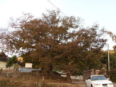 한결다방 이미지