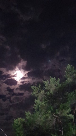 영해 이미지