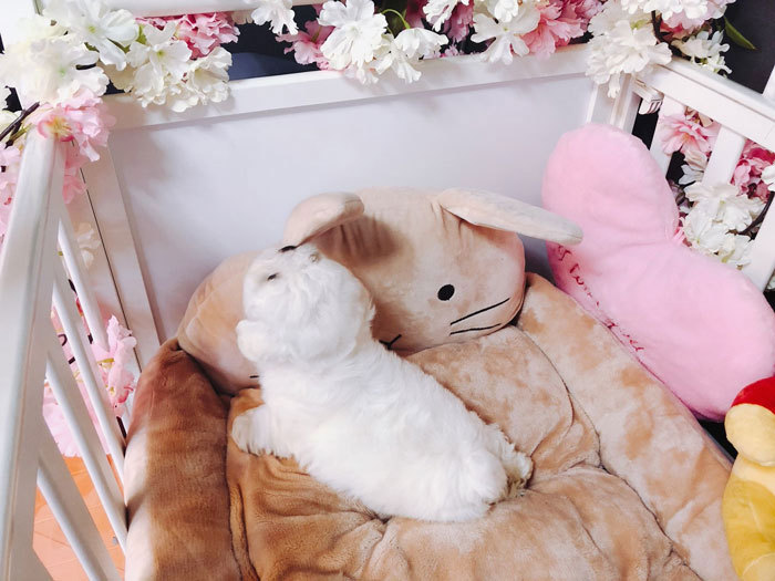 땡글땡글 이미지