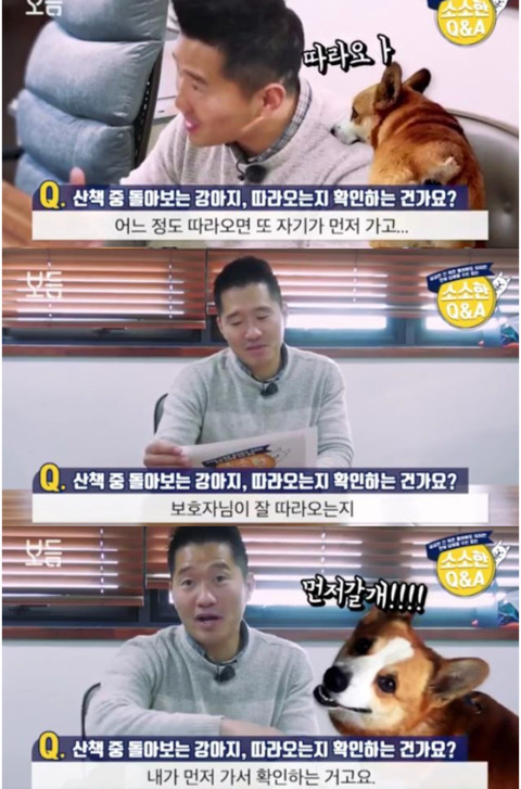 산책 중 돌아보는 강아지,따라오는지 확인하는 건가요? | 인스티즈