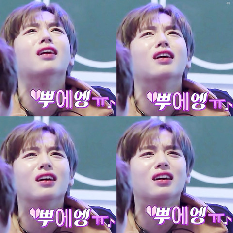 뚱시 이미지