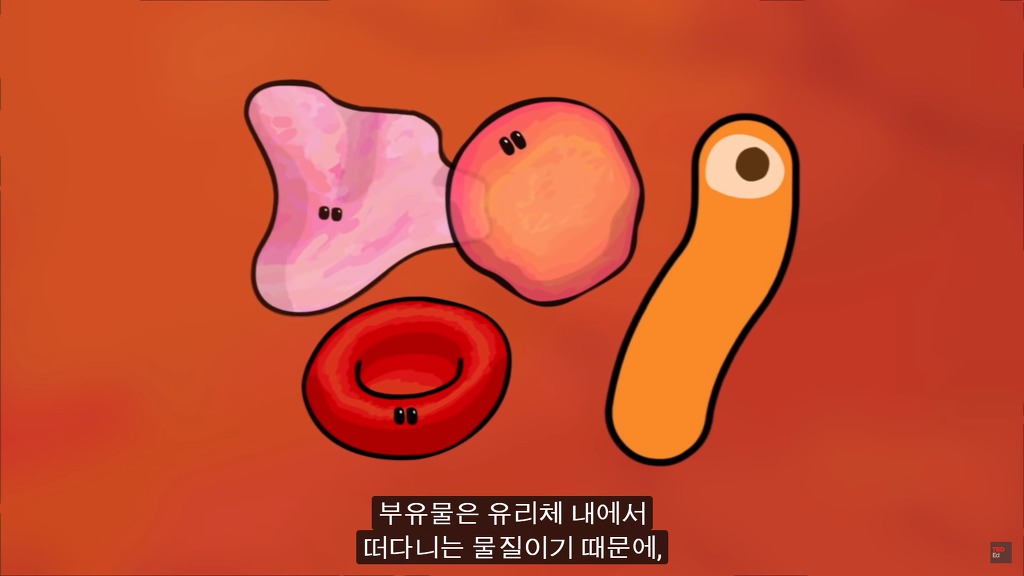 여러분의 눈에 둥둥 떠다니는 그것들은 무엇일까요? | 인스티즈