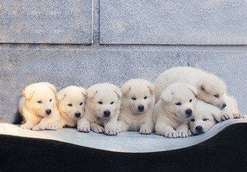 개판이네 | 인스티즈