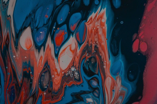  새는 위험하다 | 인스티즈