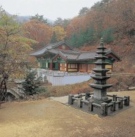 에델바이스화원 이미지