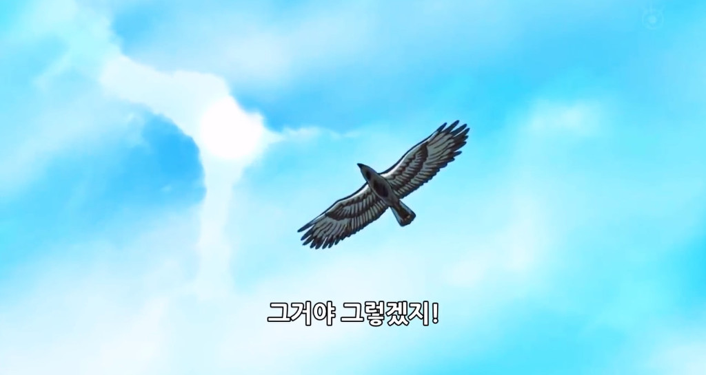 원피스 천야차 도플라밍고의 명대사 | 인스티즈