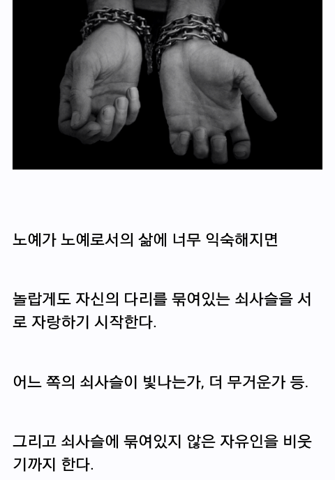 교대의 특수성에 대하여 (서울교대 교수가 쓴) | 인스티즈