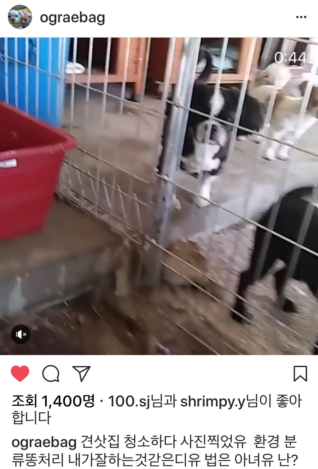 제발 한번만 봐주라,,,😢 유기됐던 댕냥이들과 함께 사는 박옥래 할머님이 많이 힘드셔 | 인스티즈