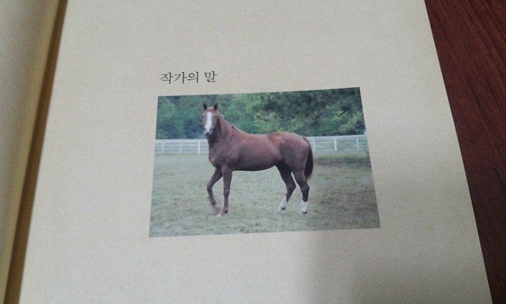 전설의 책 도입부 | 인스티즈