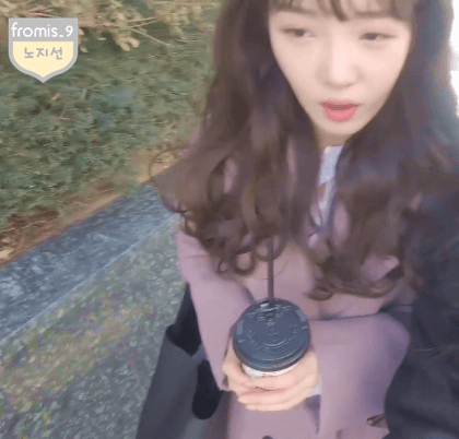 우리나라에서 양을 키우기 힘든 이유 | 인스티즈