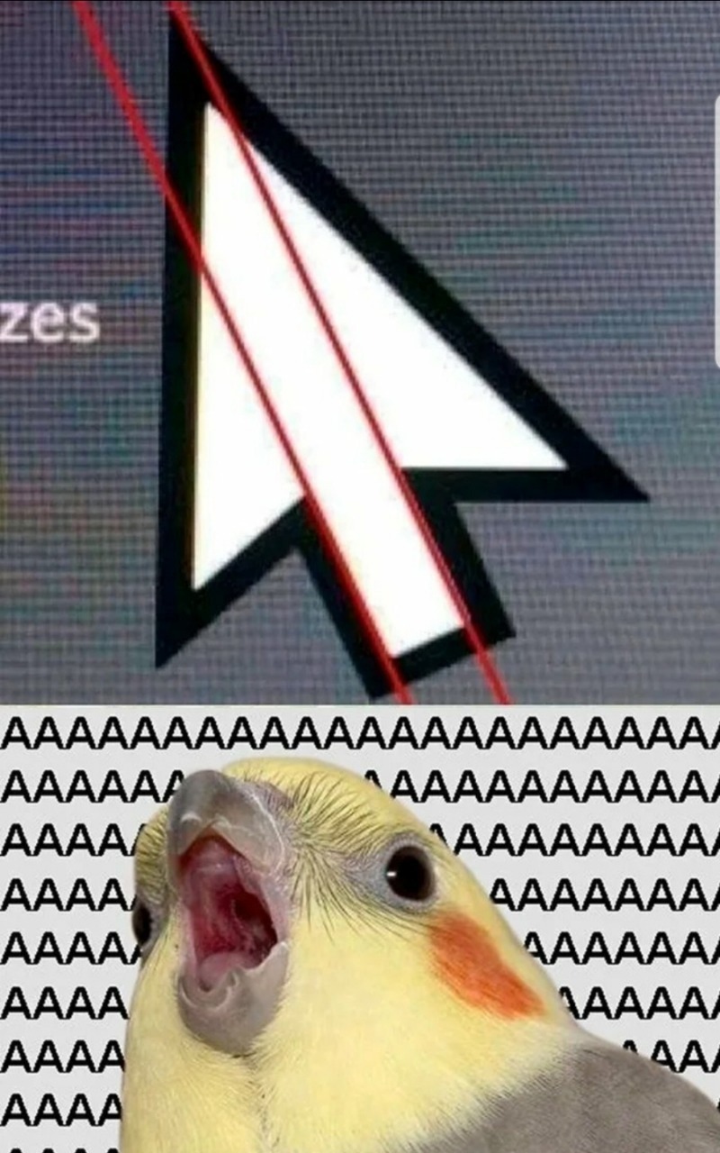 이** 이미지