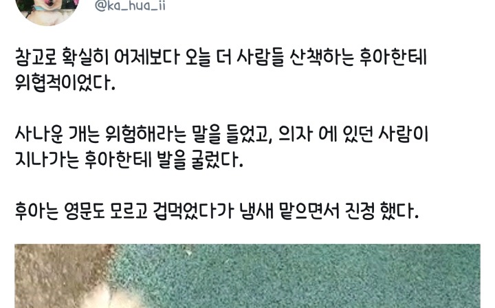 최시원 사건 이후 목줄을 해도 시비털리는 견주들 | 인스티즈