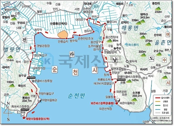 순천만 숲1 이미지