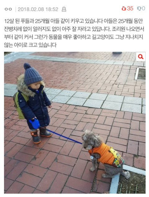 임신했으니 강아지 버리라고? | 인스티즈