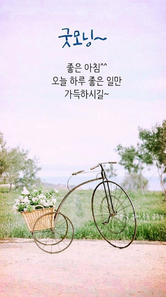 신선한 아침 이미지