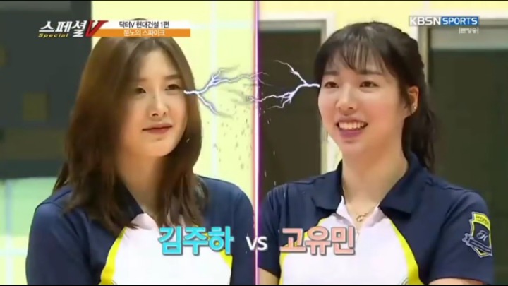 서로 돼지라고 싸우는 중.jpg | 인스티즈