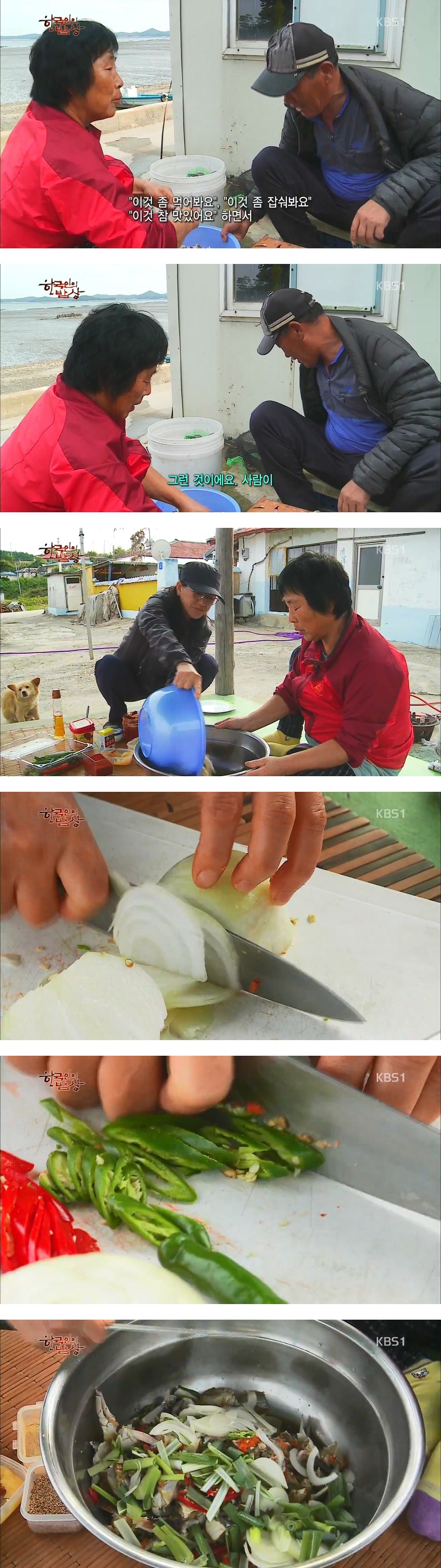 한국인의 밥상 -무젓양념게장,꽃게튀김,박하지게국지,붕장어조림 - | 인스티즈