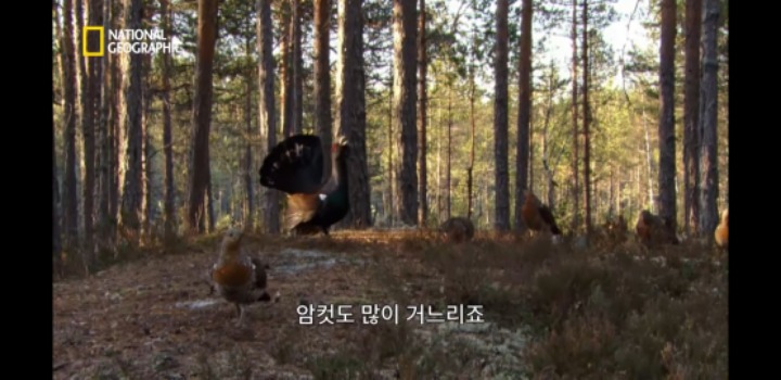 분노조절을 잘 해야하는 이유 | 인스티즈