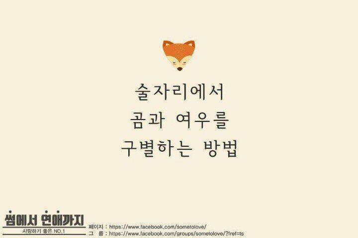 곰과여우 이미지