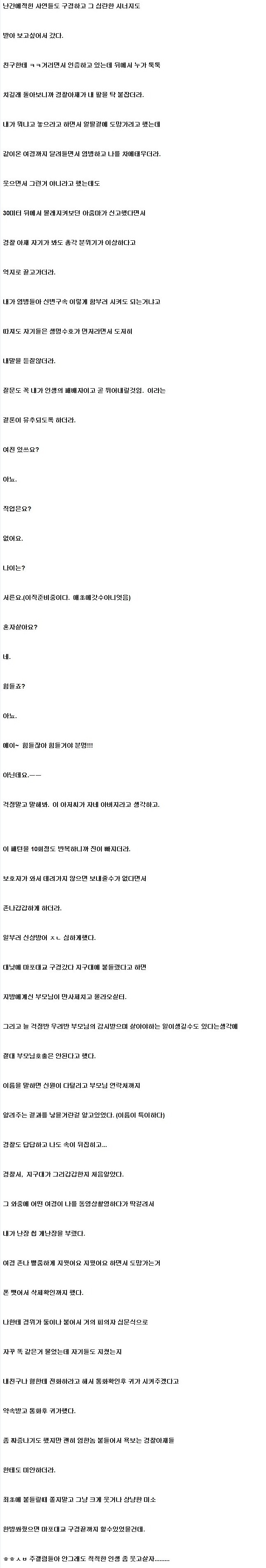 마포대교 구경하다 지구대 끌려간 주갤럼 | 인스티즈