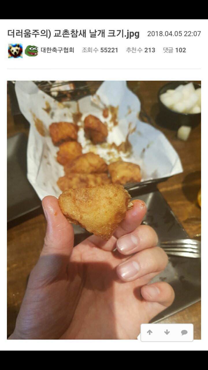교촌치킨 논란의 날개크기 | 인스티즈