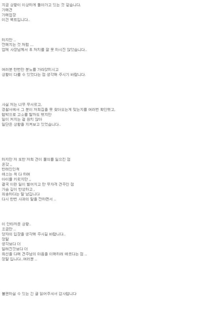 노원 애견카페 허스키 견주 글 | 인스티즈