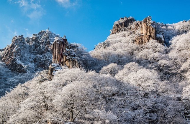 설화 이미지