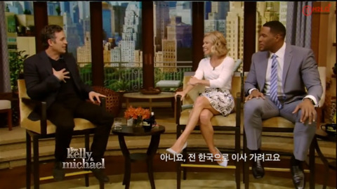 한국으로 이사오고싶은 헐크 | 인스티즈