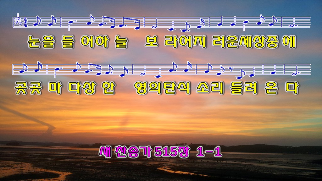 하늘보라 이미지