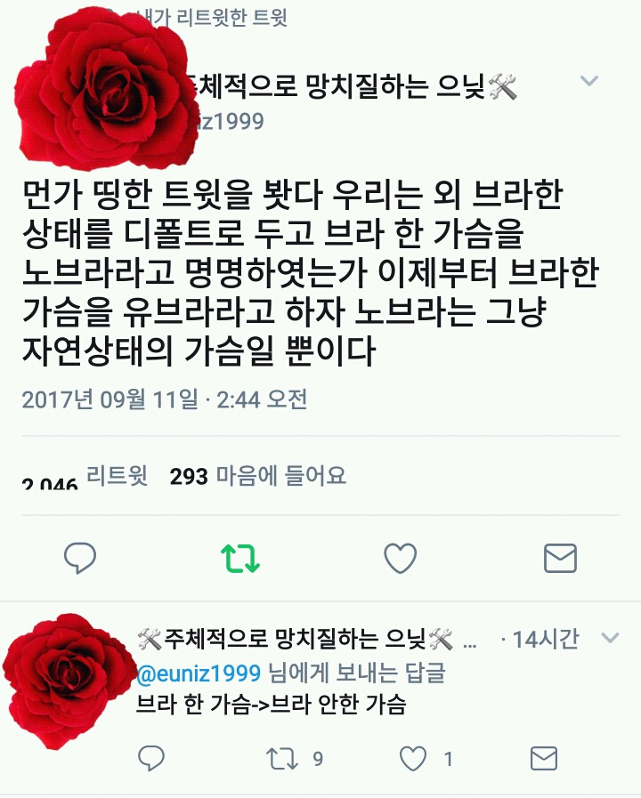 우리는 왜 브라 안한 가슴을 보고 노브라라고 해야하는가.twt | 인스티즈