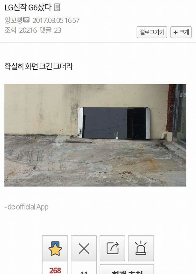 허언증 갤러리 모음 | 인스티즈