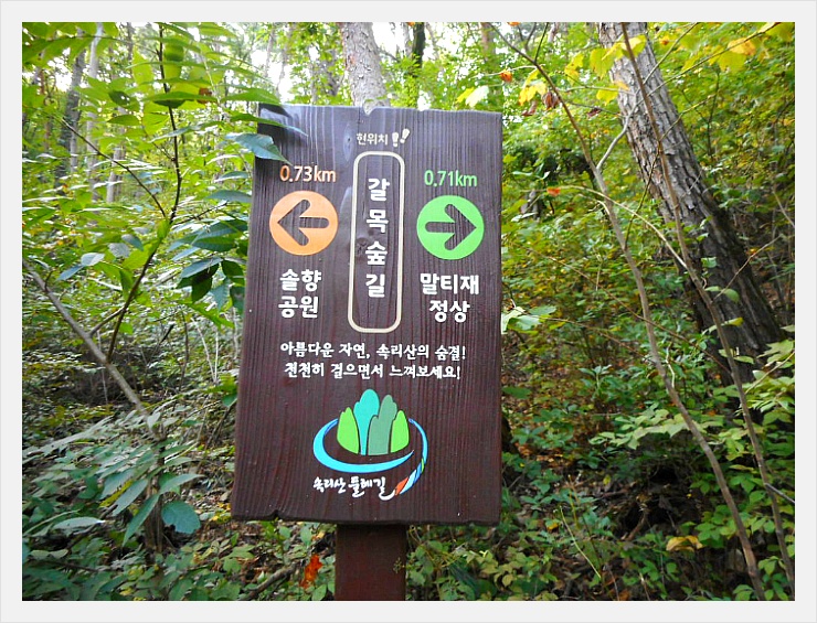 속리산말티재자연휴양림 이미지