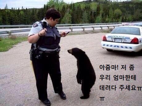 캐나다의 흔한 배달불가 사유. 그리고 어떤 미아... | 인스티즈