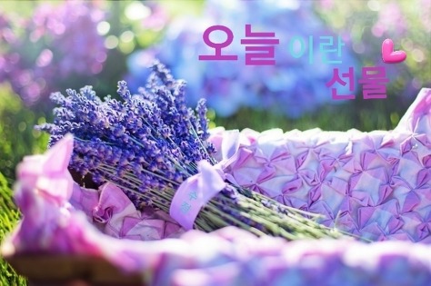 소풍전날 이미지