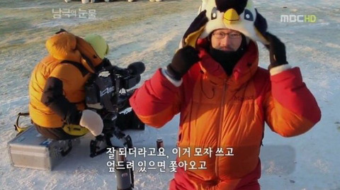 짱귀탱인 남극의 눈물 촬영 당시 펭귄들.gif | 인스티즈