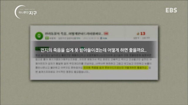 처음 반려동물 키우기 시작했을 때 너무 좋고 예뻐서 생각하지 못하는 것.jpg | 인스티즈